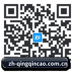 iPhone 追星神器 二维码